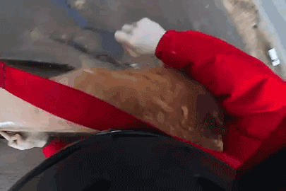 base jump bázisugró baleset GIF CÍMLAP