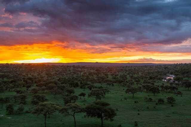Tarangire Nemzeti Park, Tanzánia
