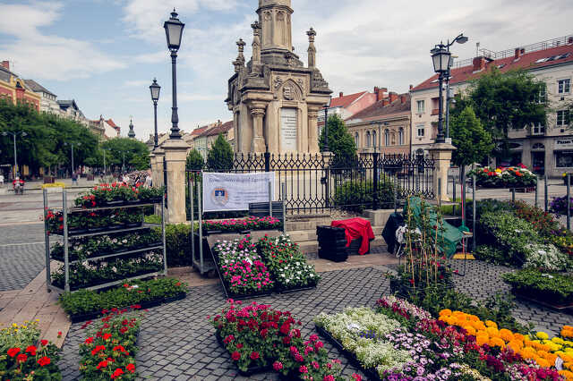Virágvásárt tartott a Fő téren a Szépítő Egyesület 