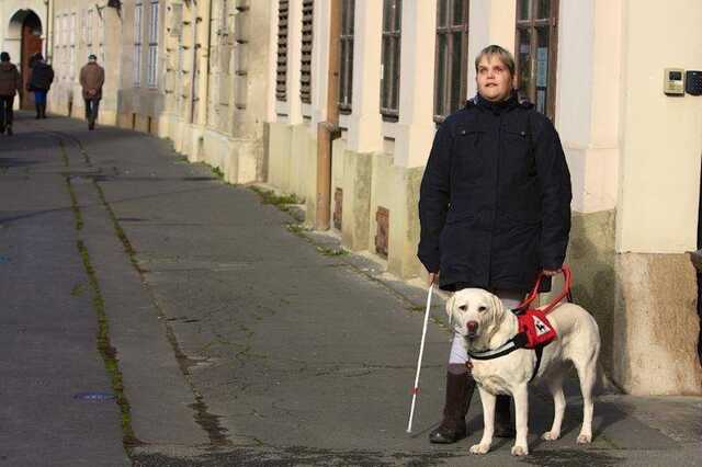 Horváth Nikoletta Lili nélkül sehová sem megy