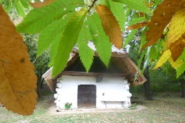 Őszi hangulat Cákon