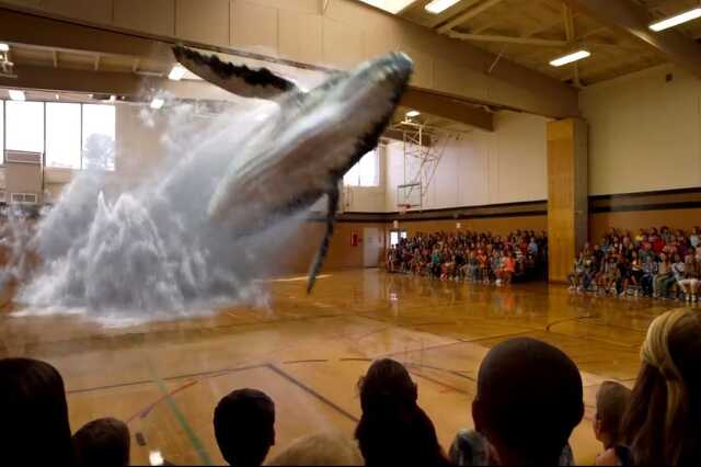 A Magic Leap tornatermi bálnája