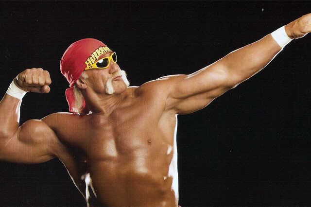 hulk hogan