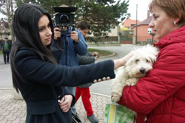 Radics Gigi és az állatvédők