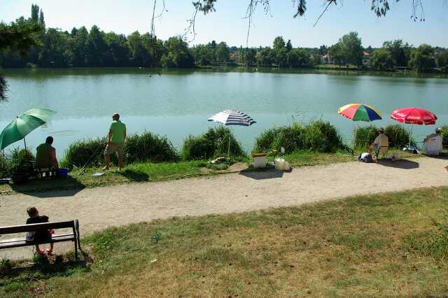 Törpeharcsa fogó horgászverseny Szombathely 2011 