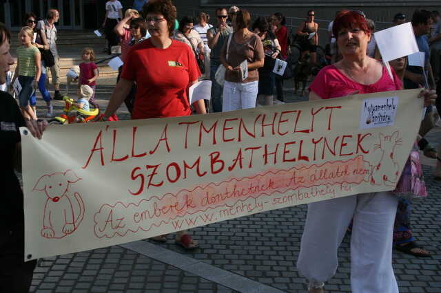 Kutyás demostráció