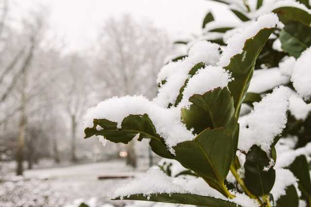 Havazik Szombathelyen - 2014. január 24.