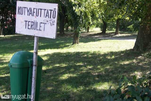 Oladi kutyafuttató