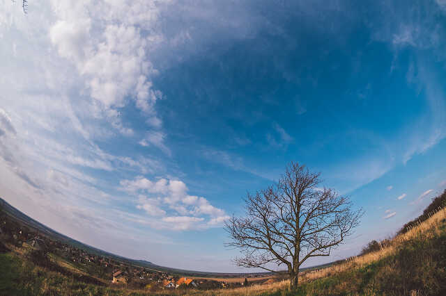 Kissomlyó hegy - tavasz