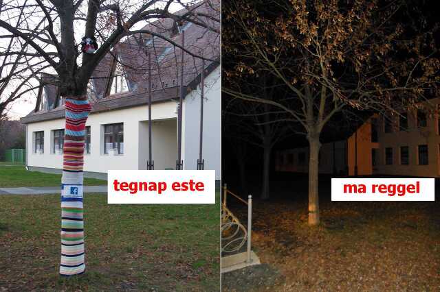 A levetkőztetett pulóvgeres fa