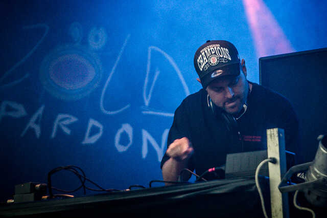 dj shadow zöld pardon