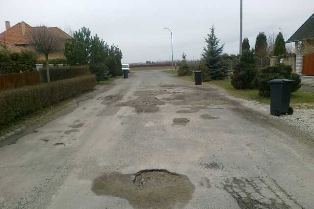 Fenyő és Áfonya utcák