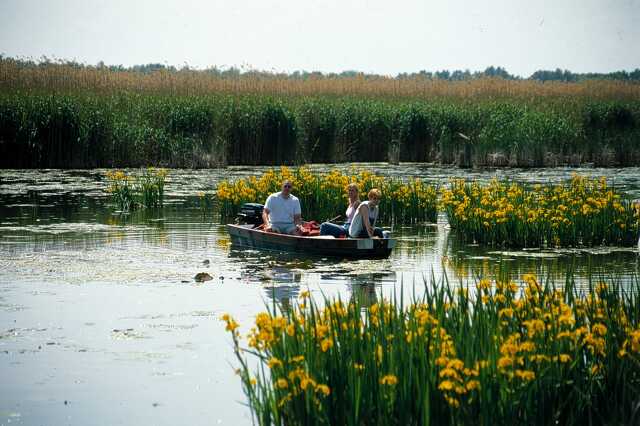 Tisza-tó