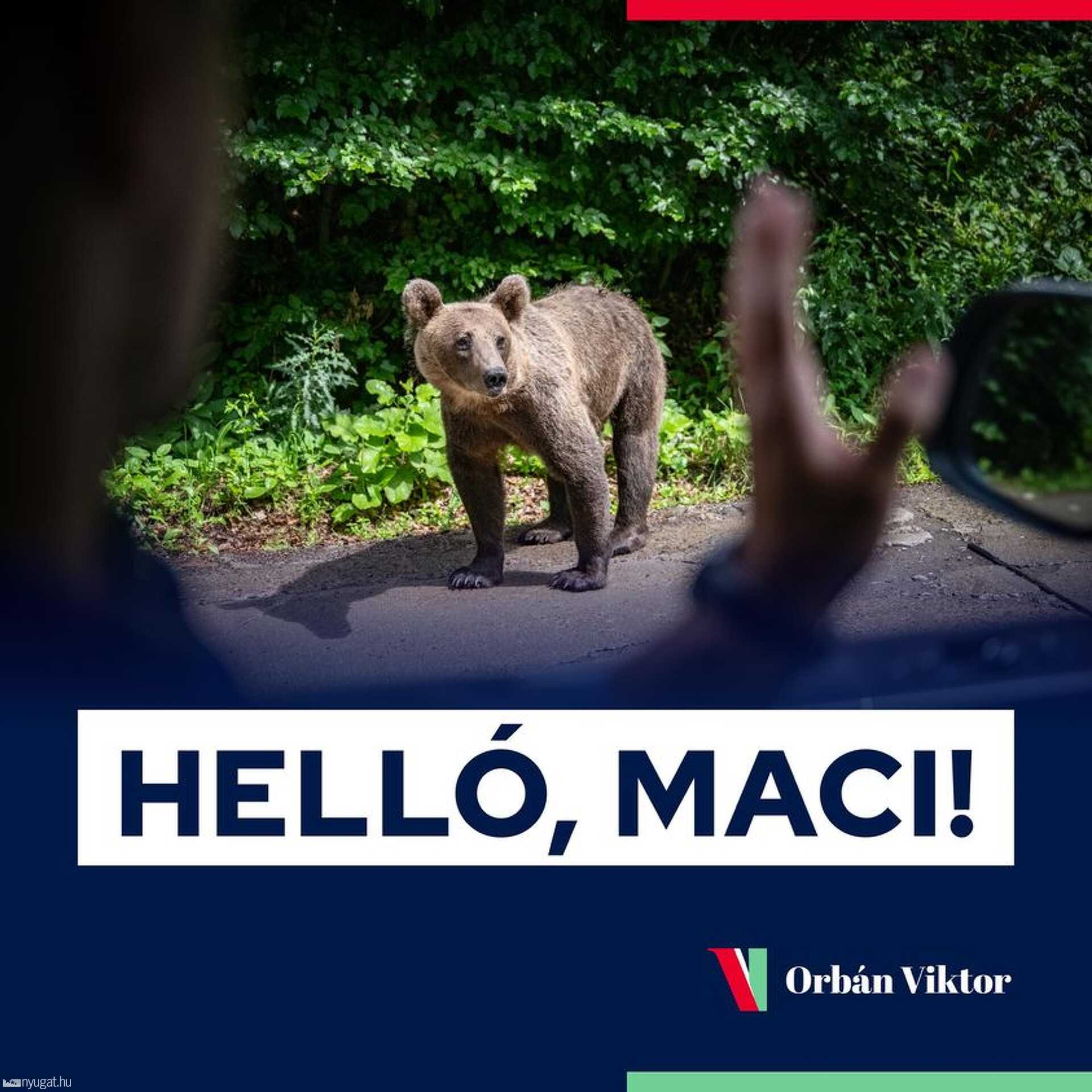 Orbán Viktor találkozása egy medvével