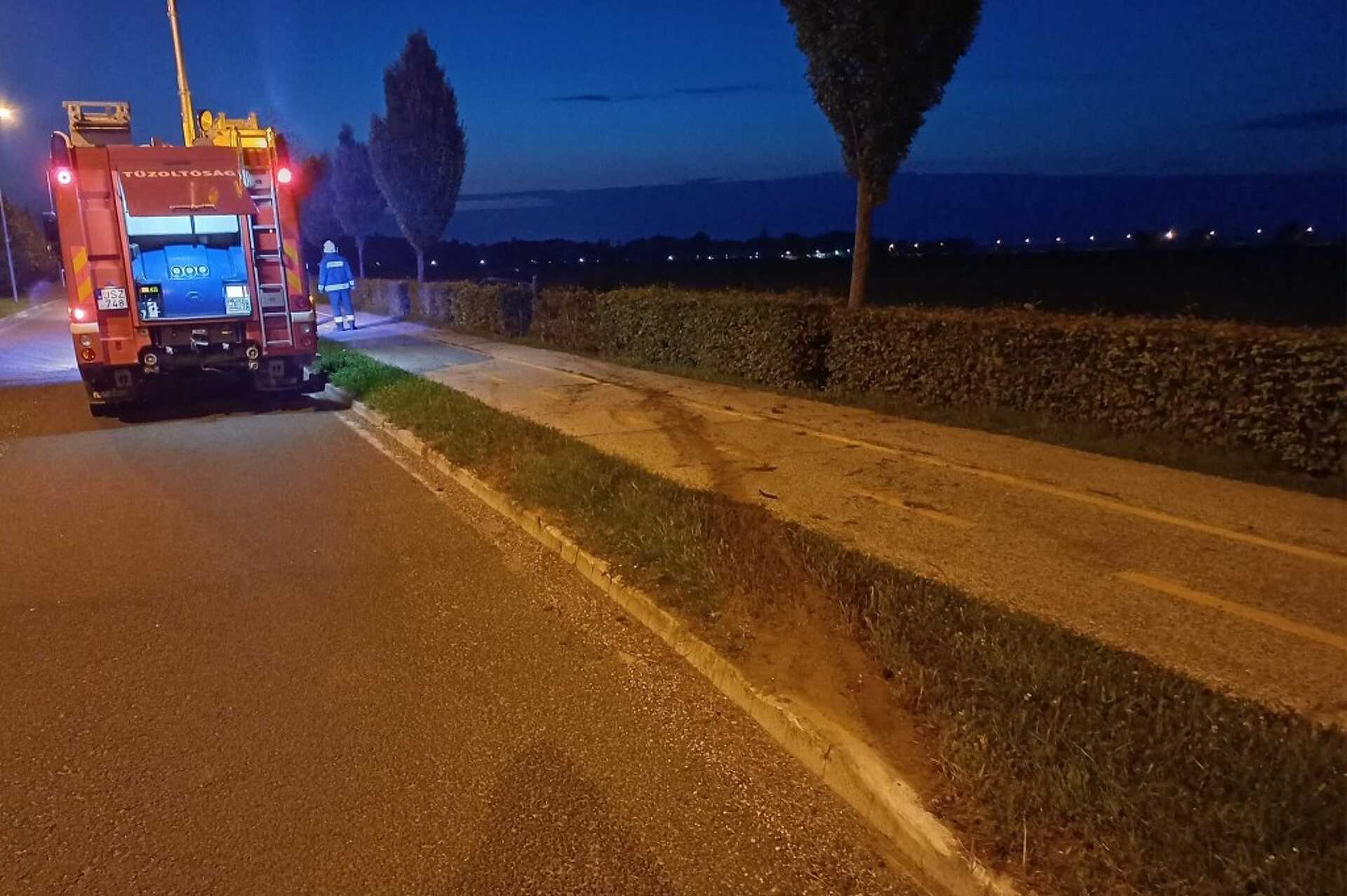 Kidöntött egy fát, majd szántóföldre csapódott egy autó Büknél