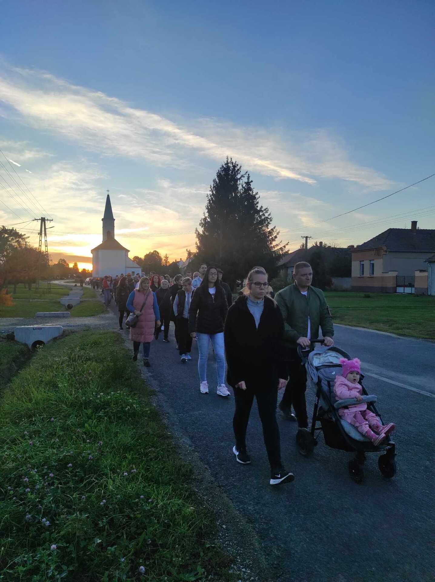 Vásárosmiskei kutyákért tüntetés