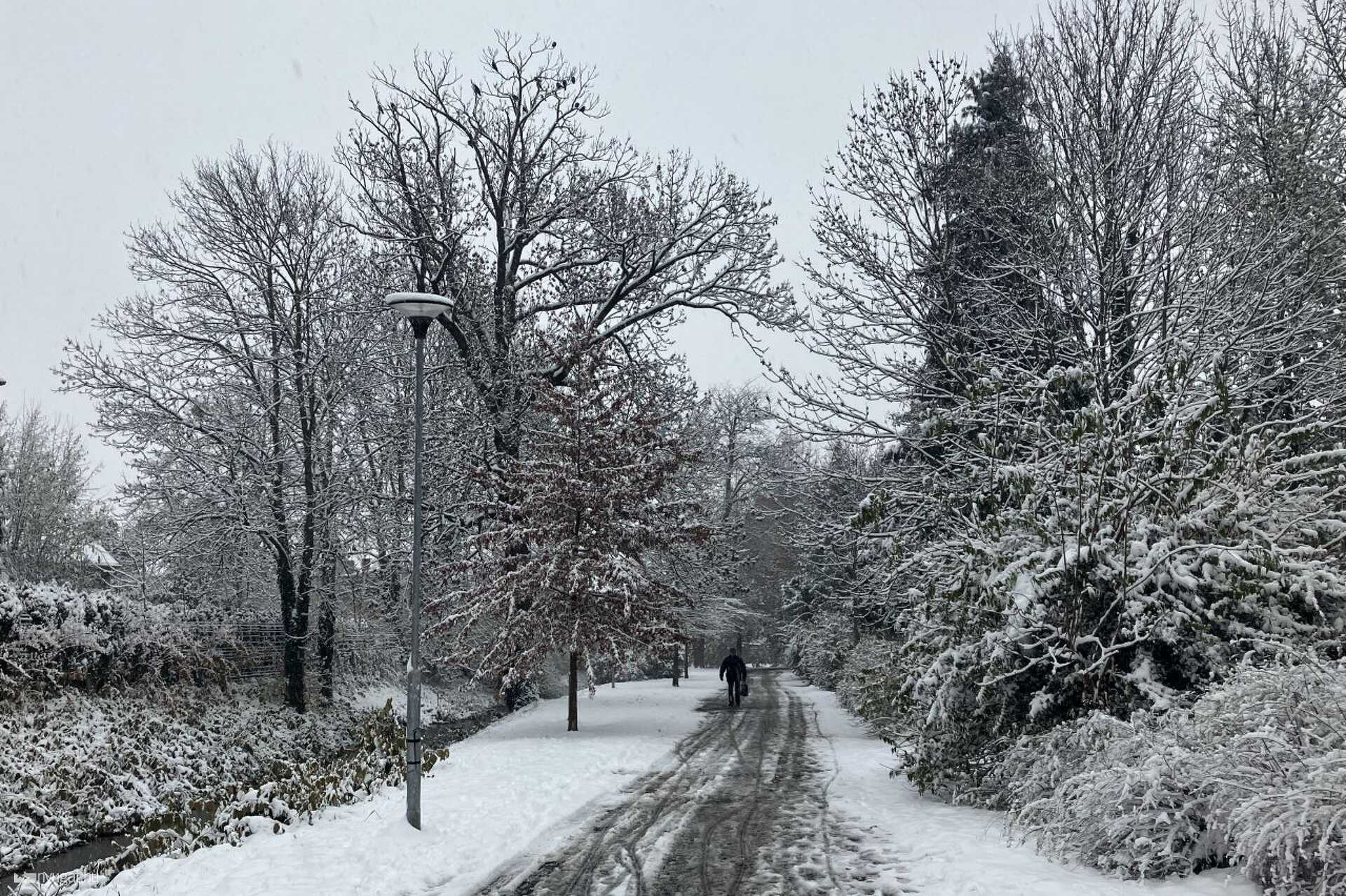 Hó, havazás Sombathelyen 