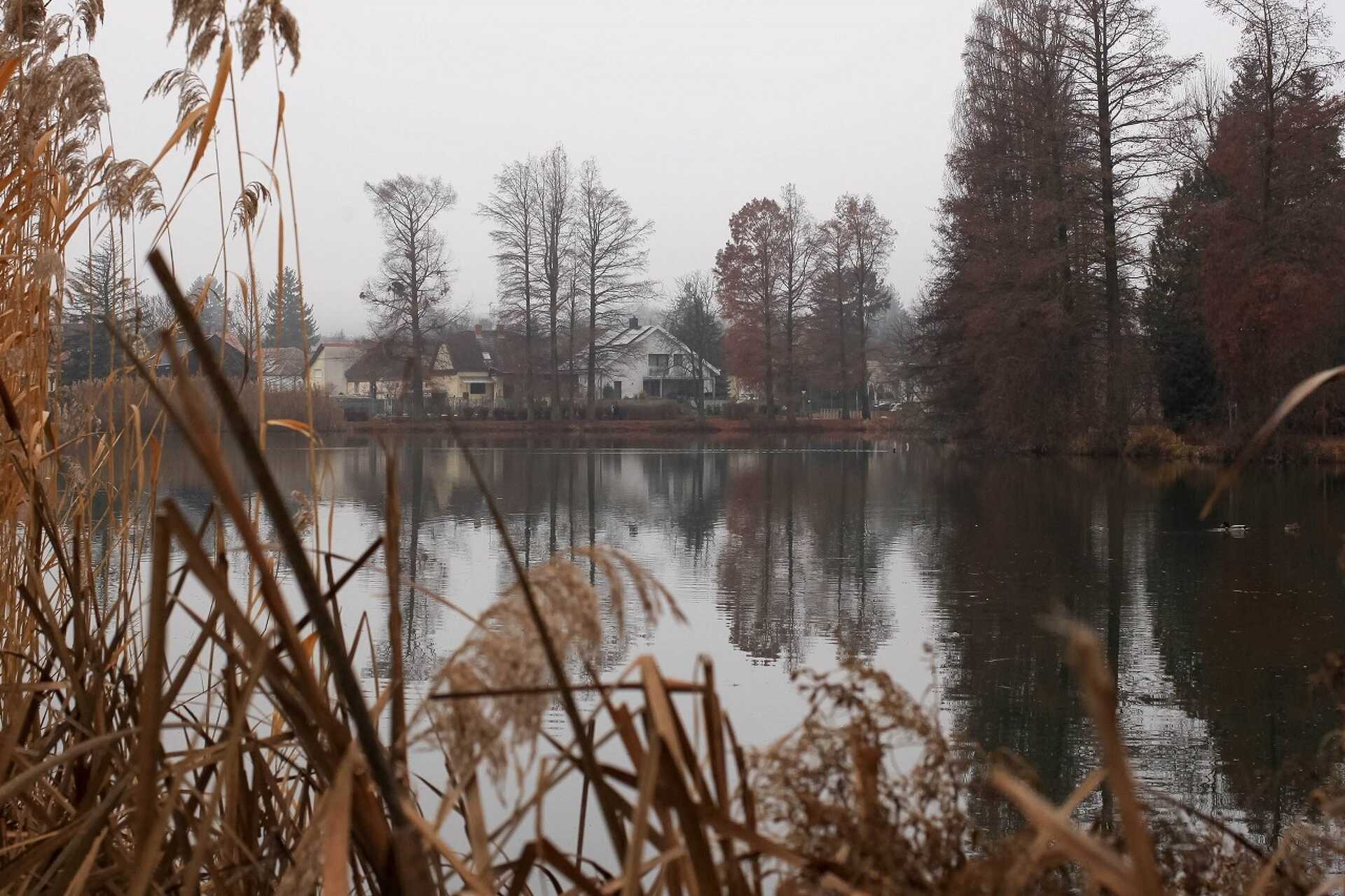 Téli tavasz 2023 Szombathely 