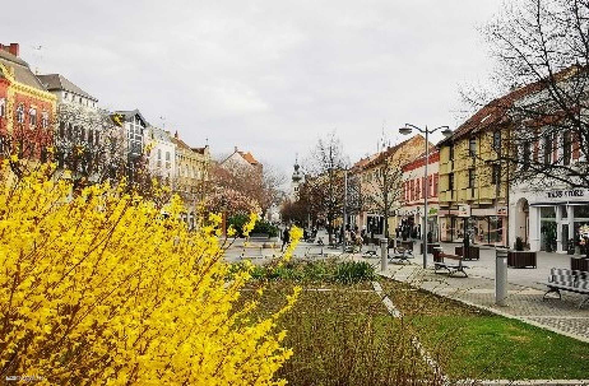 Fő téri virágok