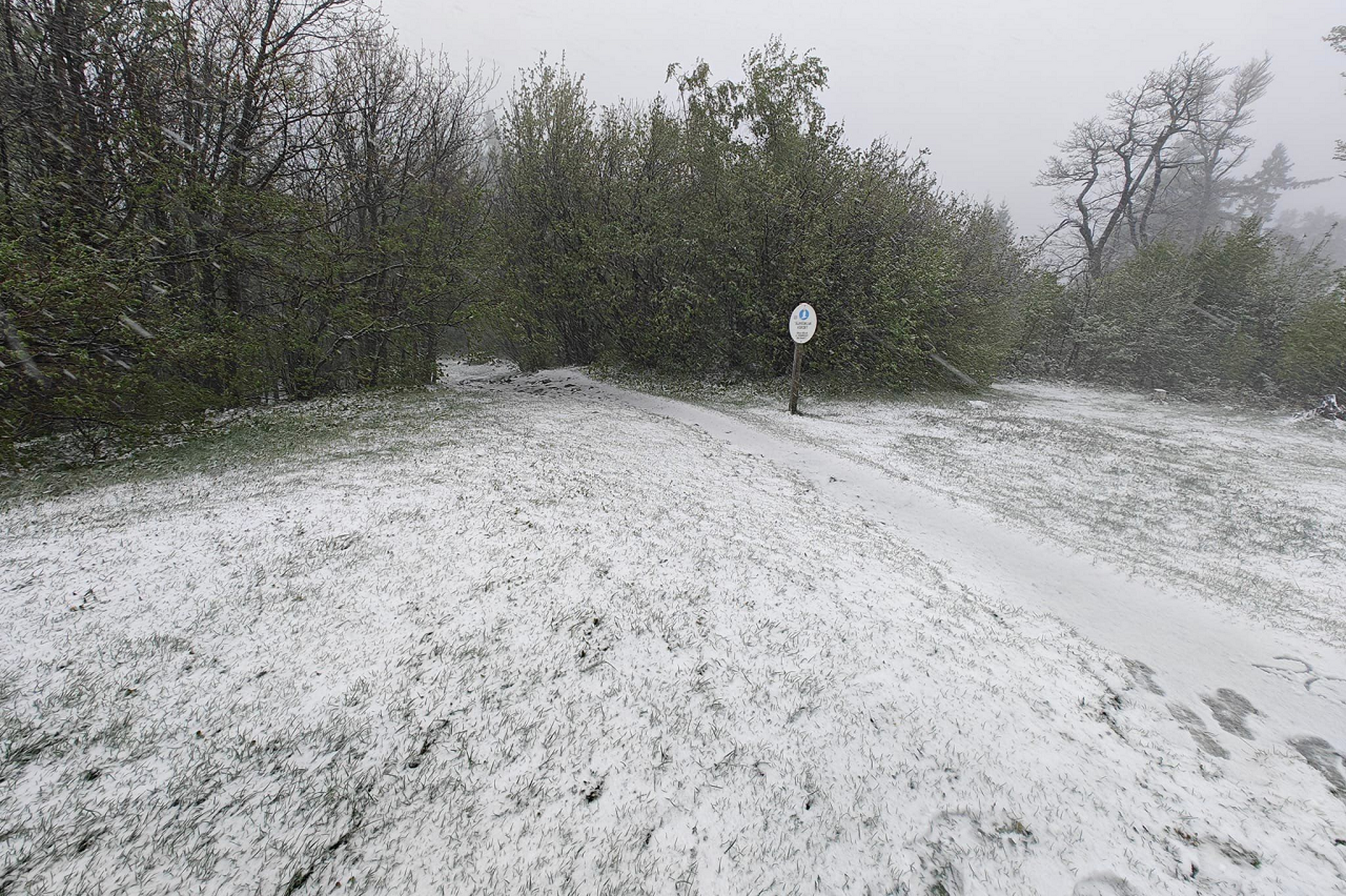 Esik a hó az Írott-kőnél 04.16.