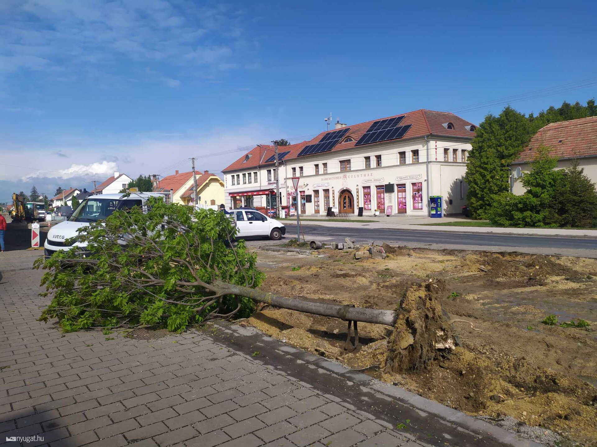 Nagyobb lesz a térkövezett parkoló a fák helyén. 