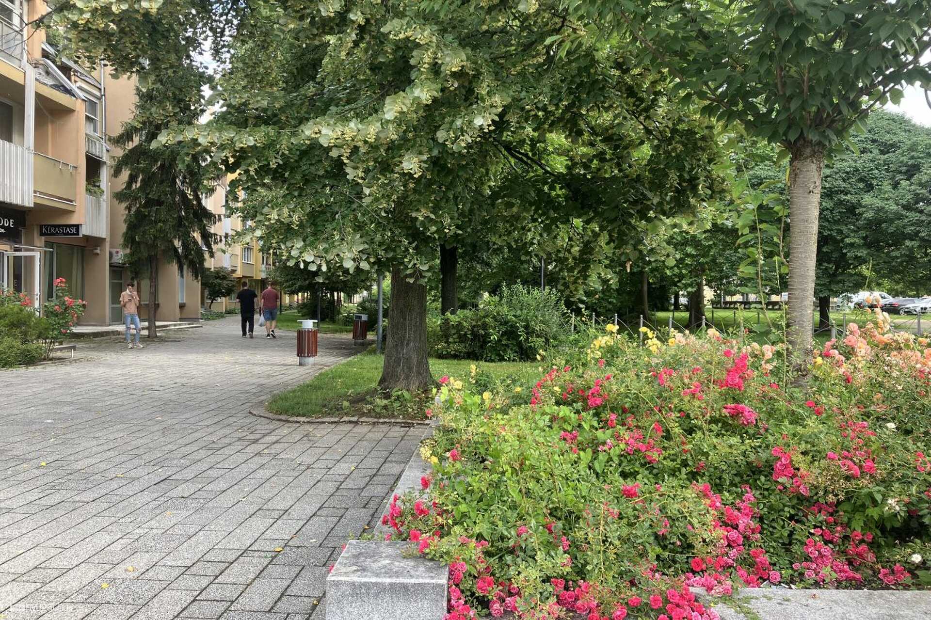 A Szent Márton utcánál rózsákkal indul a sétány