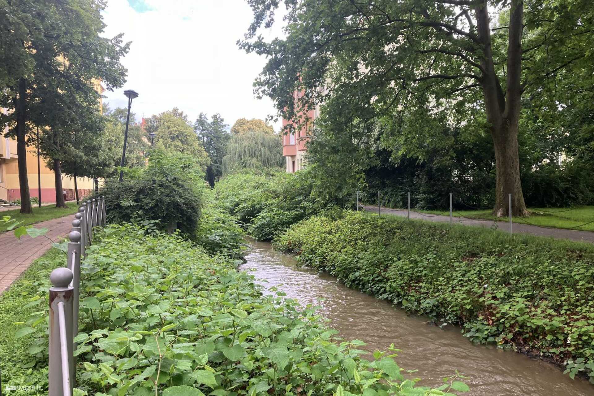 Van, aki dzsumbujt lát, én természetet