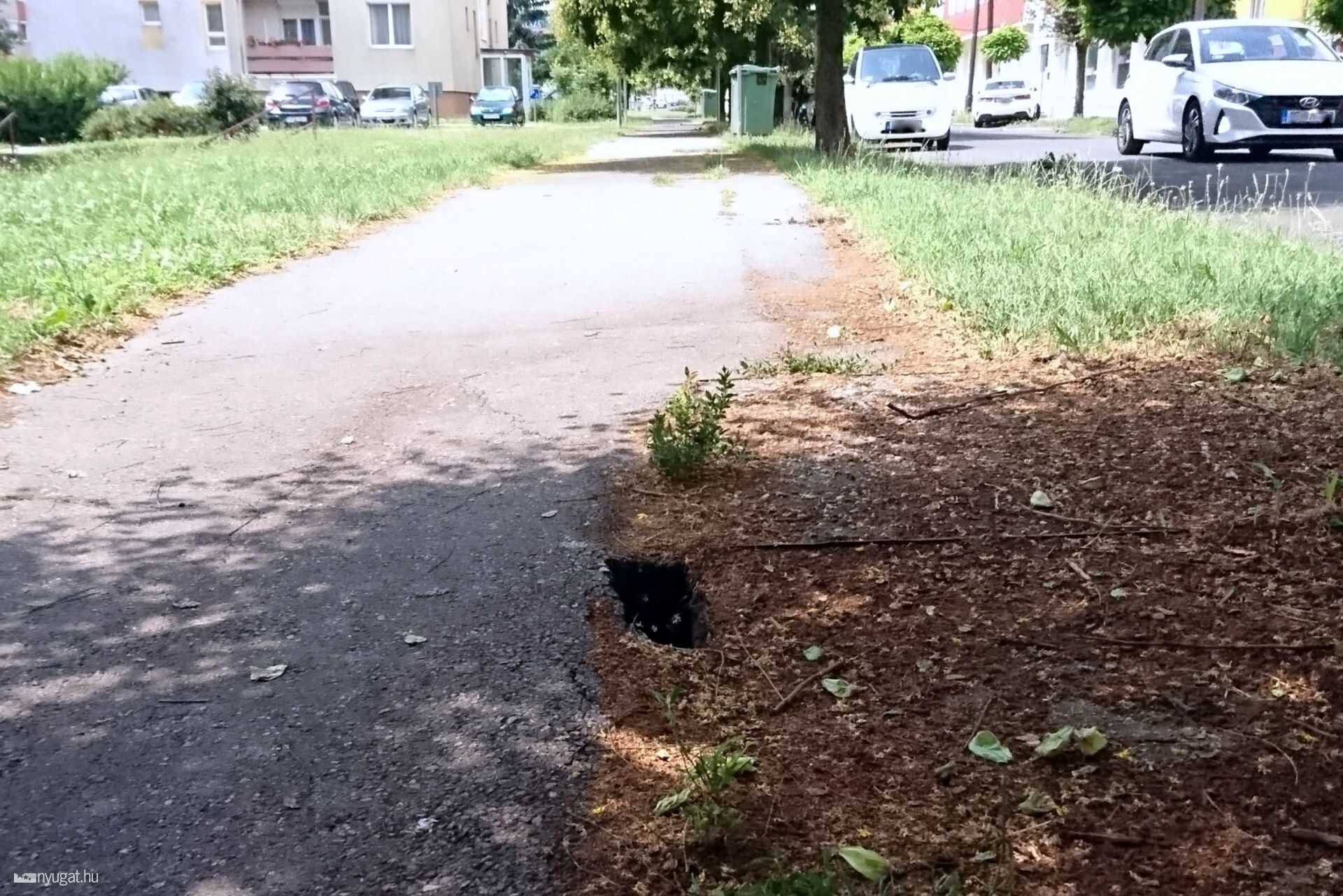 Folytonossági hiba a Mátrixban a Felsőőr utcában
