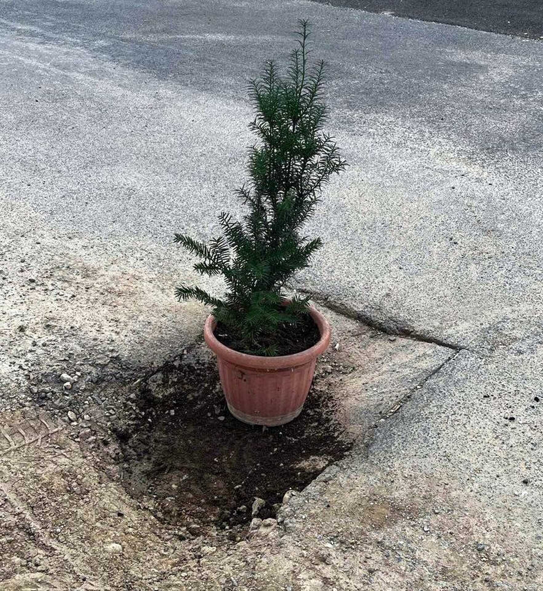 Ezek pedig a jelenlegi állapotok, ha a túját azóta el nem vitte valaki...