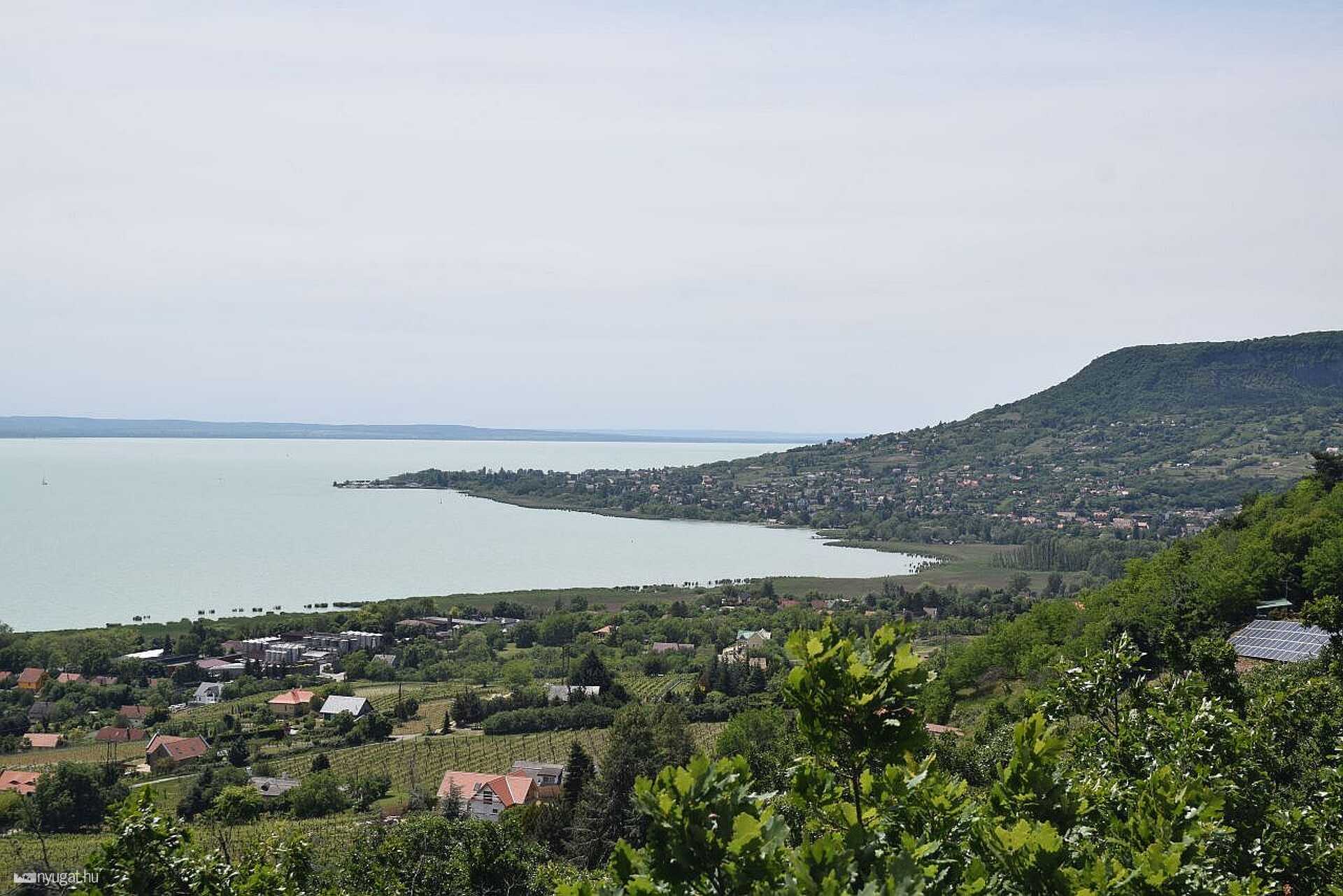 Balaton, Badacsony, Folly Arborétum, Pálos kolostor romjai, erdő