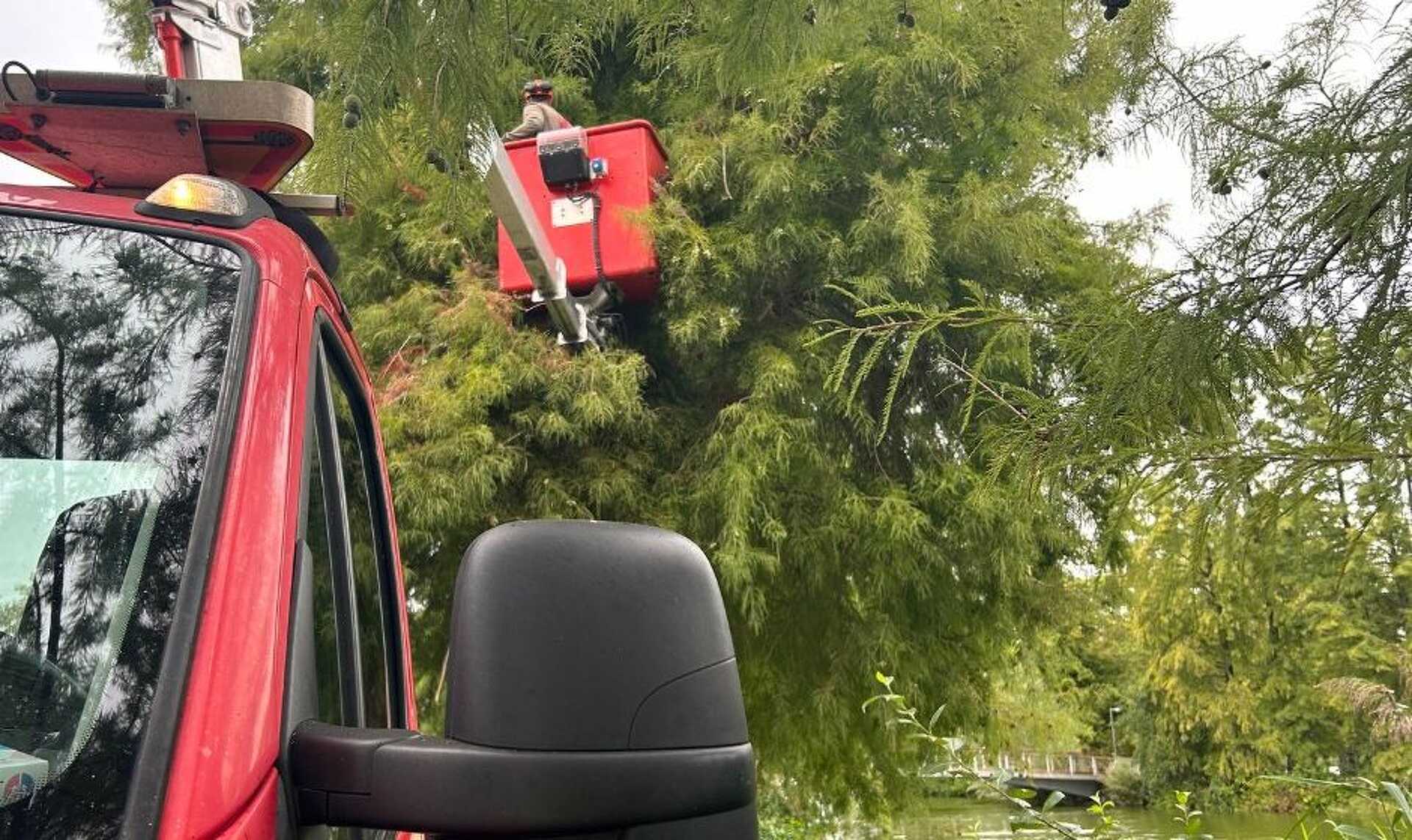Dolgozik a Szompark a vihar után