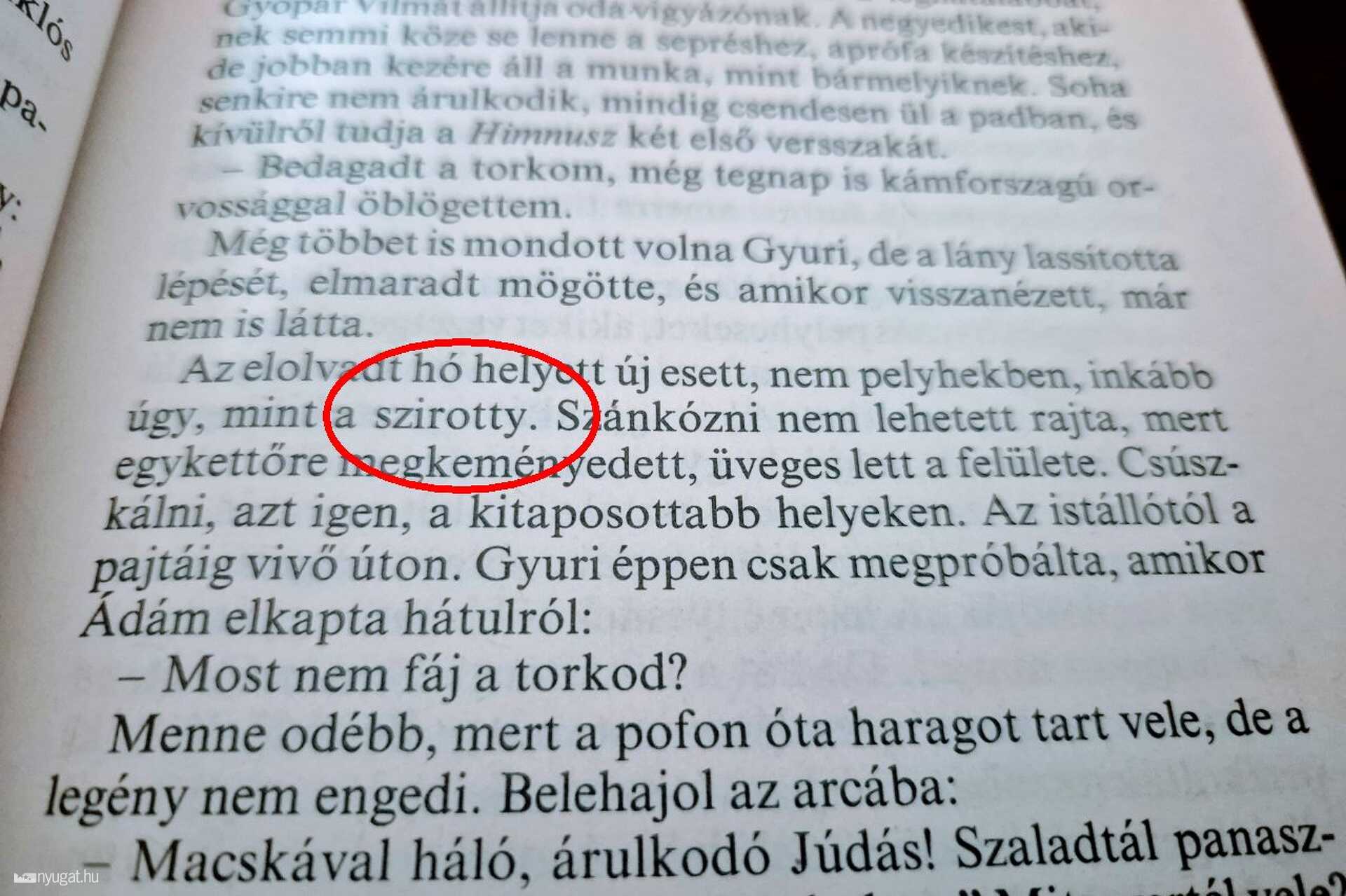 Szirotty - Sásdi Sándor: Boldog hajlék