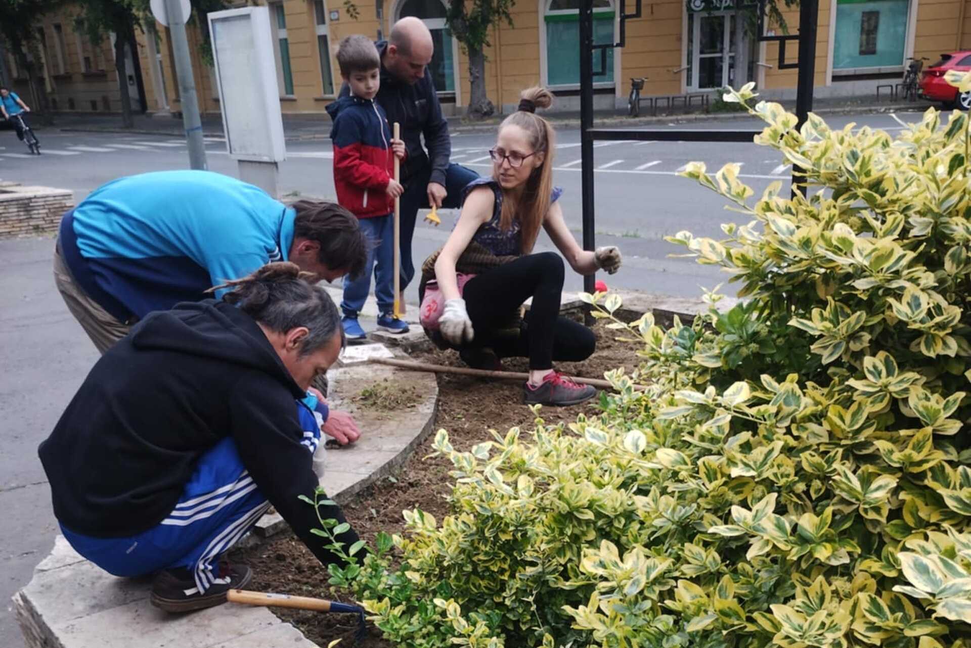 Lelkes civilek tették rendbe a Nagyszálló virágágyásait