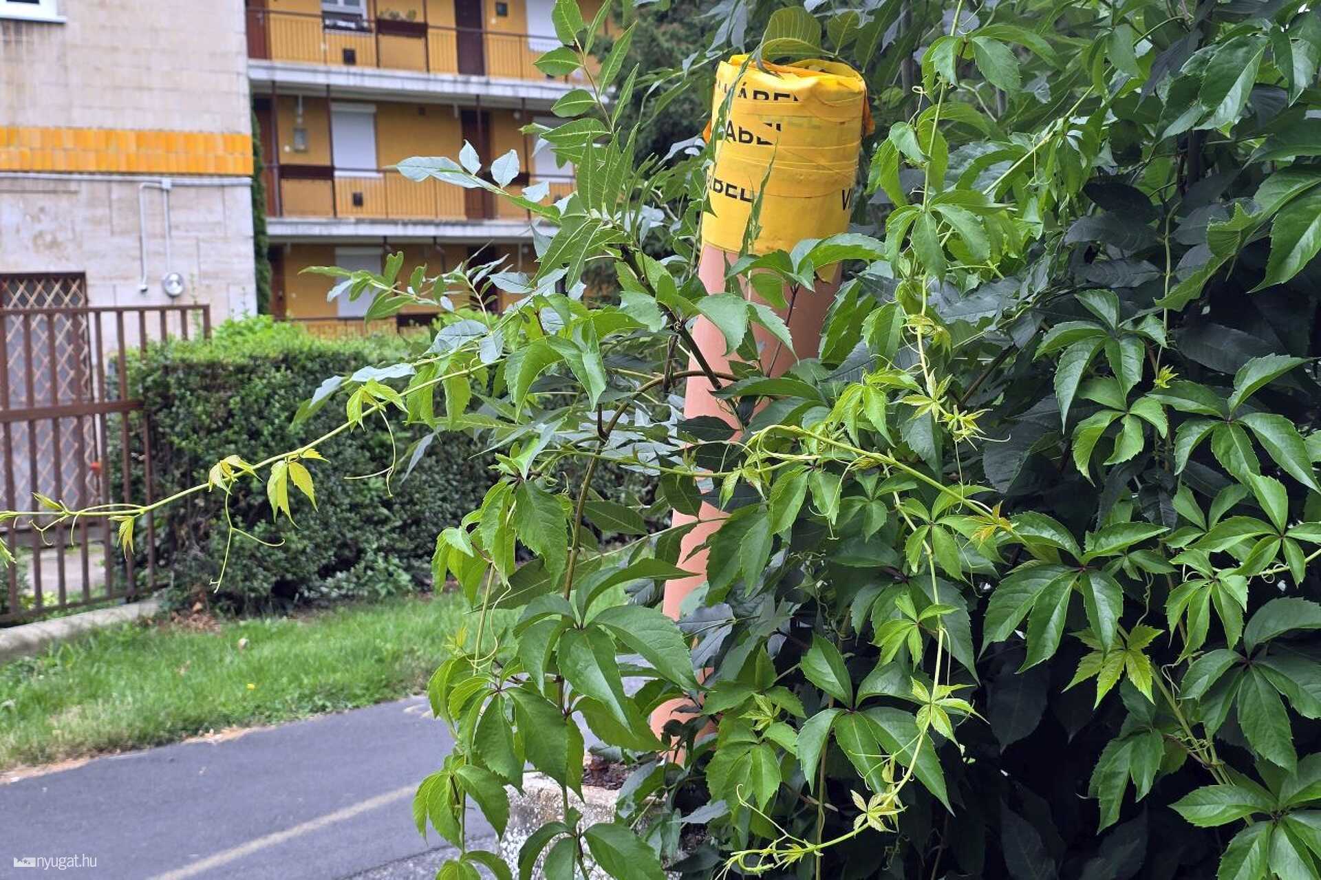 A Deák Ferenc utcai Gyöngyös-híd