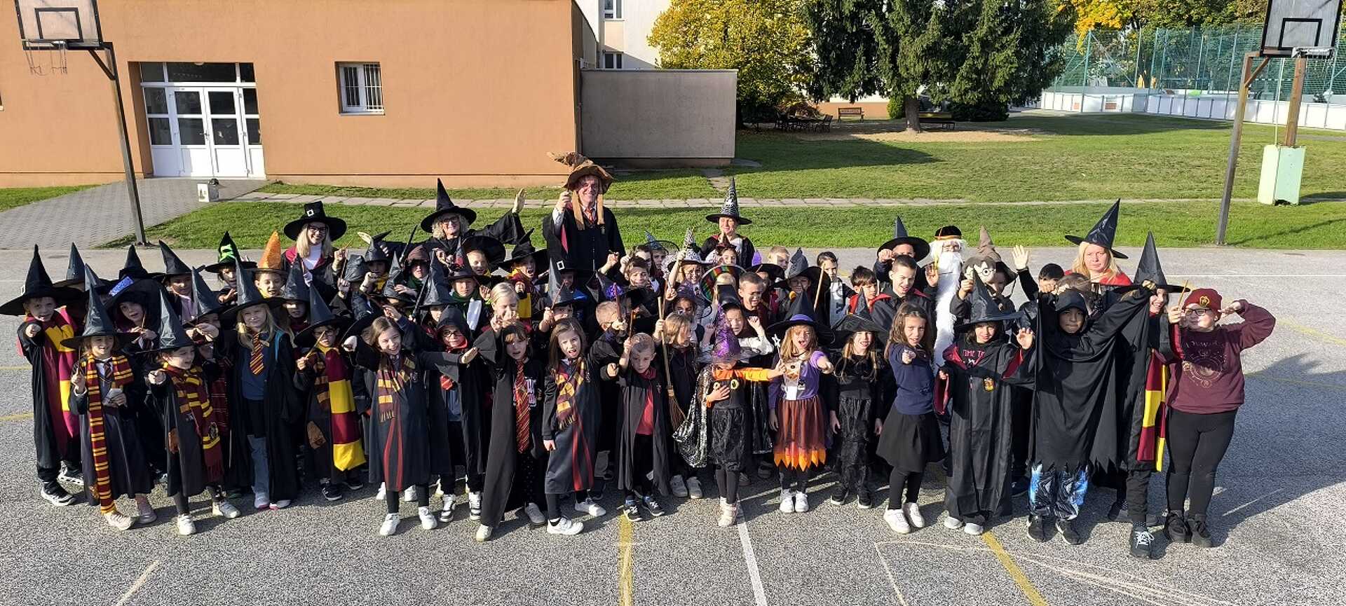 Harry Potter napok a Neumann iskolában