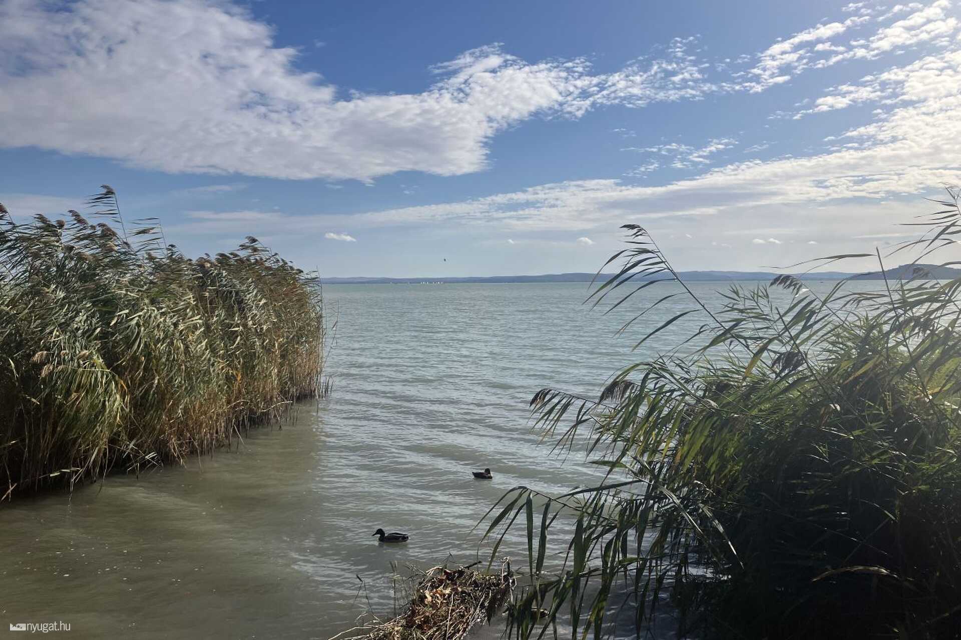 Ősz a balatonfüredi Tagore sétányon