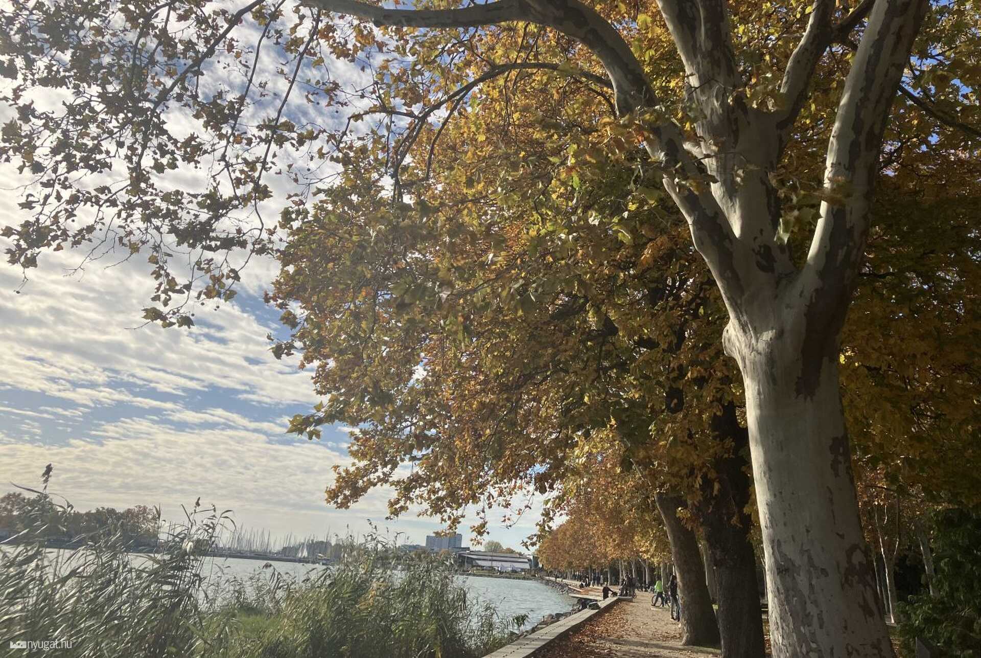 Ősz a balatonfüredi Tagore sétányon