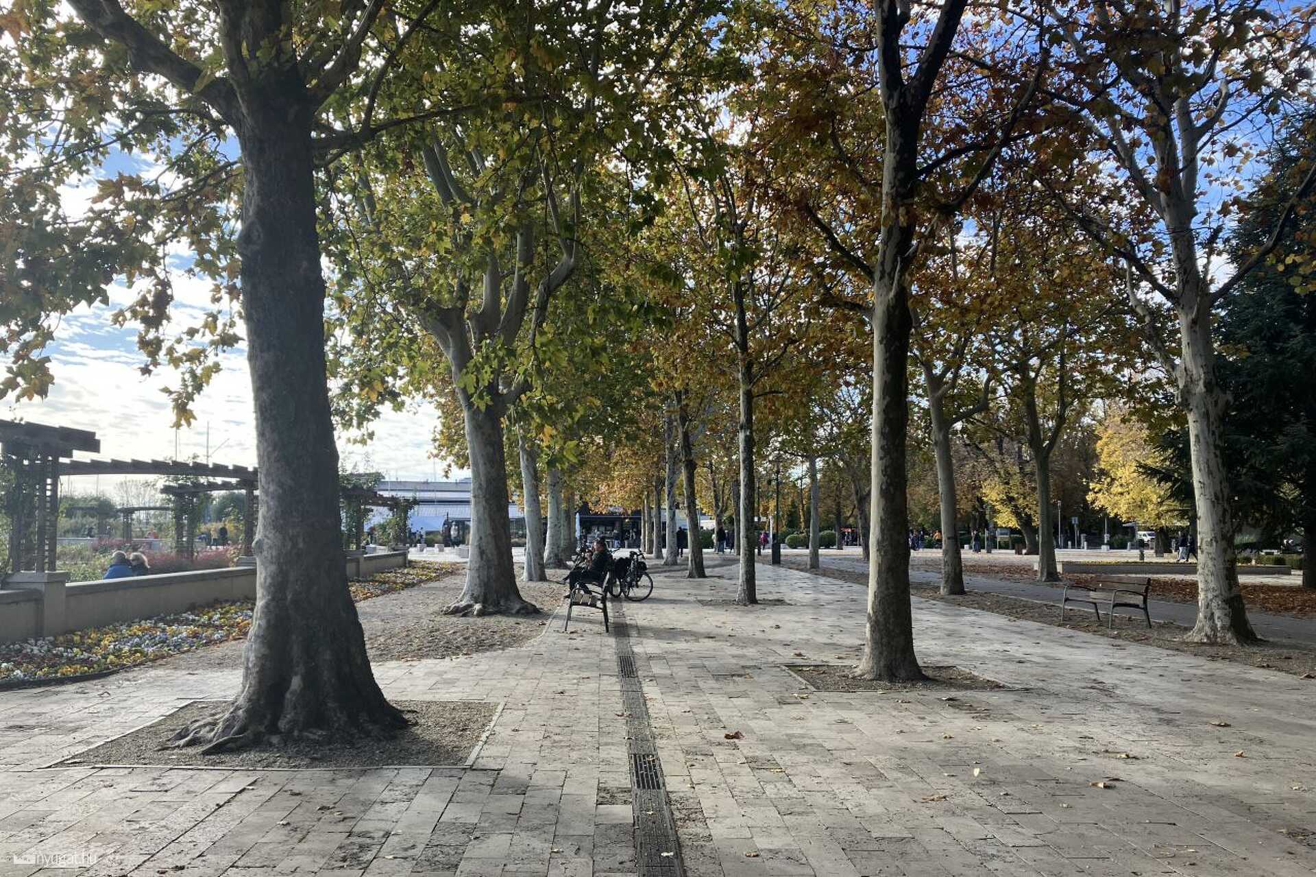 Ősz a balatonfüredi Tagore sétányon 