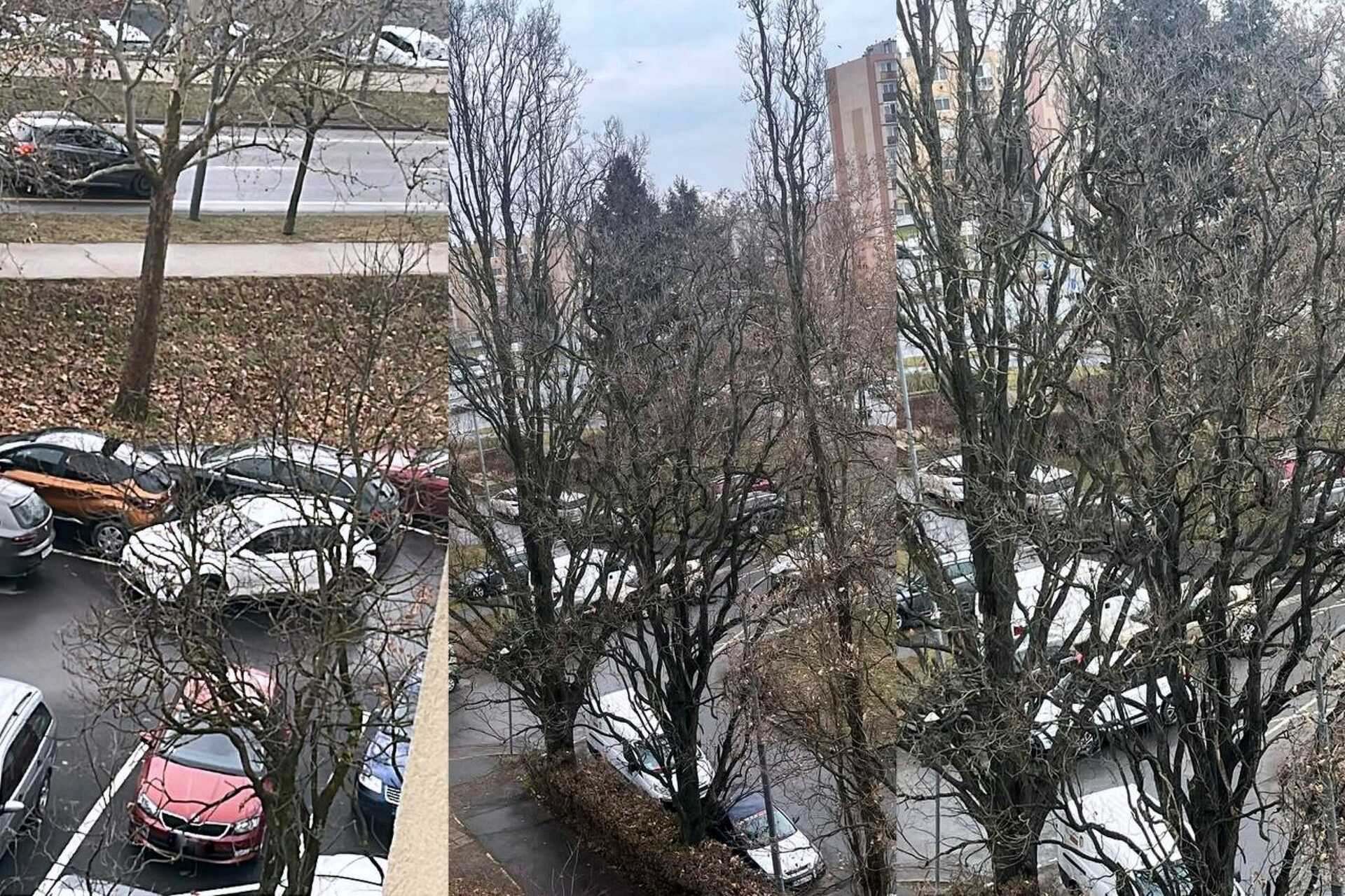 A fák takarásában azért látszik néhány szabálytalanság