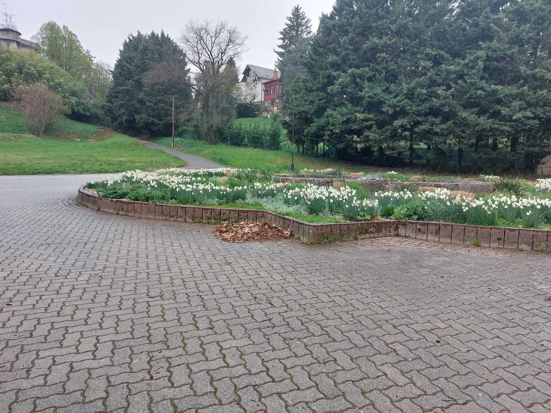 Civilek tették rendbe a Szent István parkot