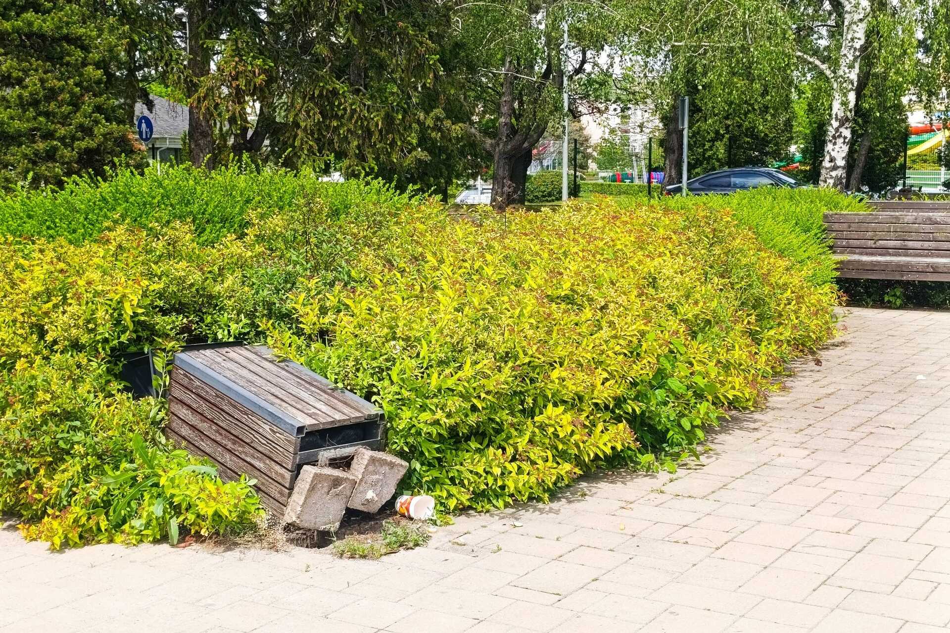 Amikor az erő nem párosul ésszel