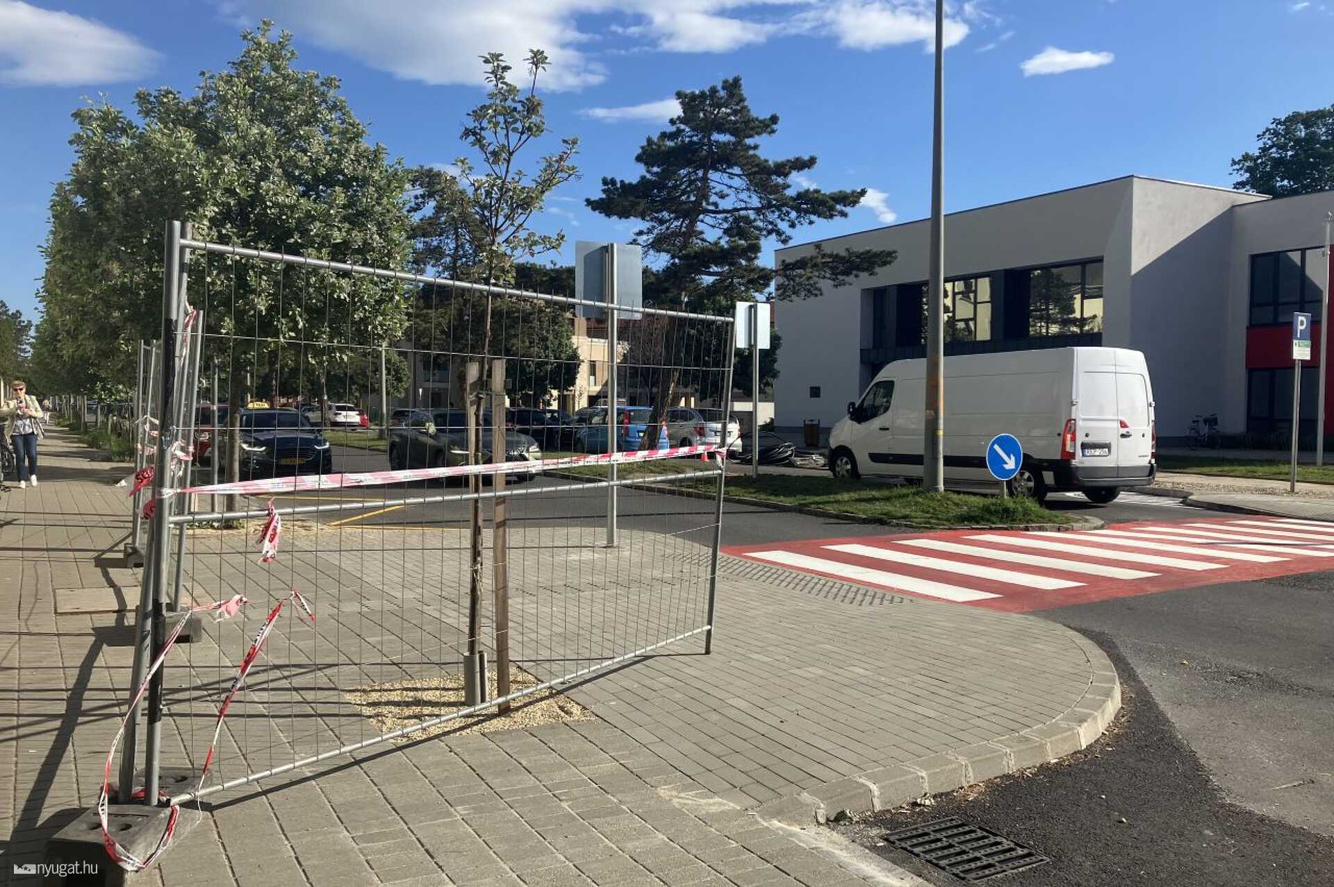 Zebra a kórház előtt