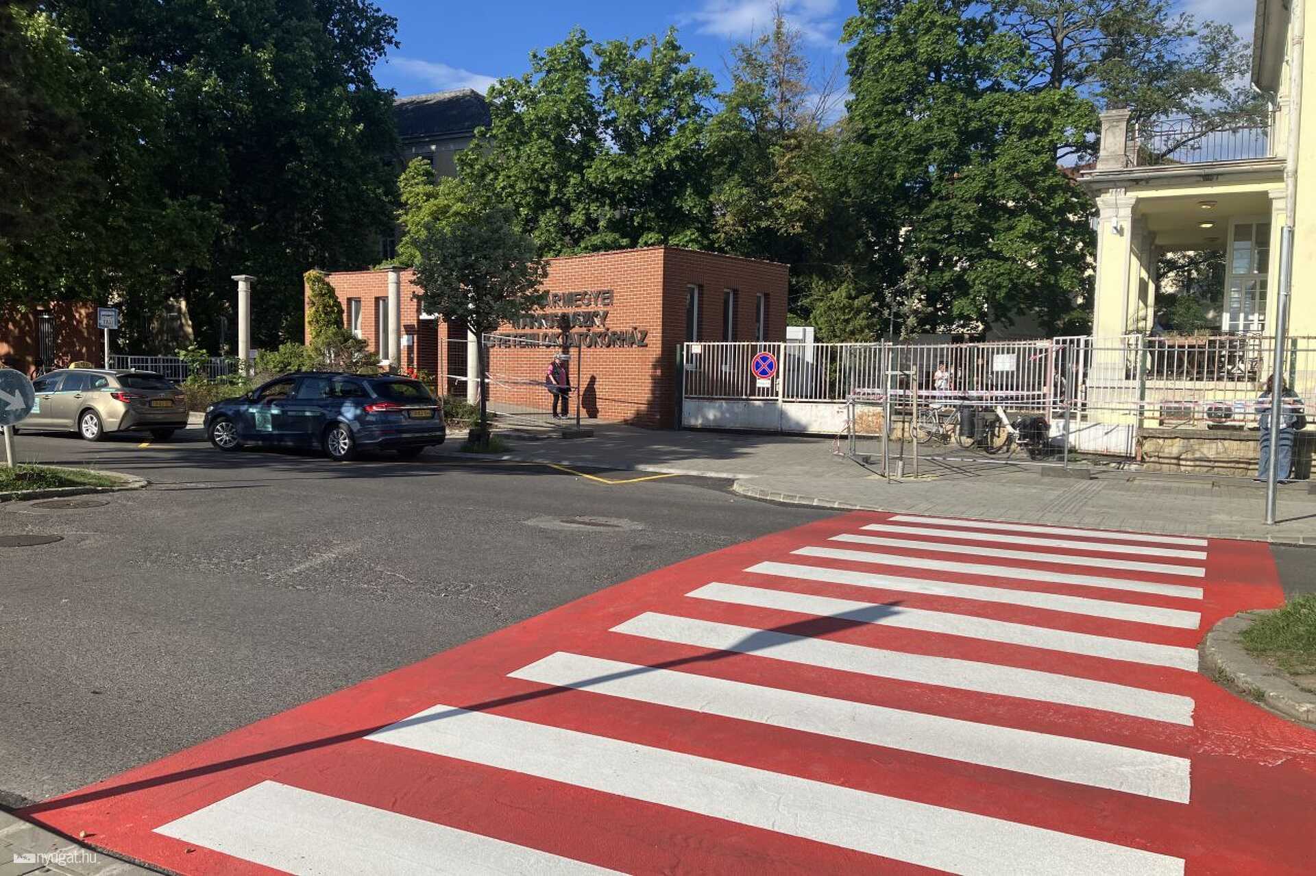 Zebra a kórház előtt