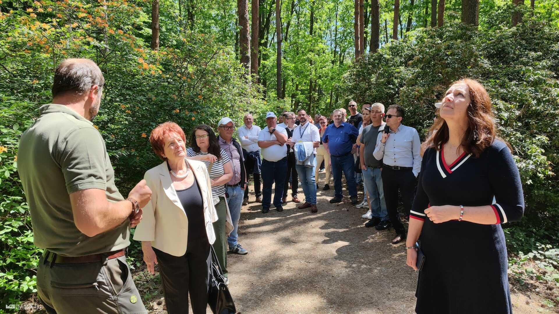 A Jeli Varázskertben ünnepeltek a vasi mentők