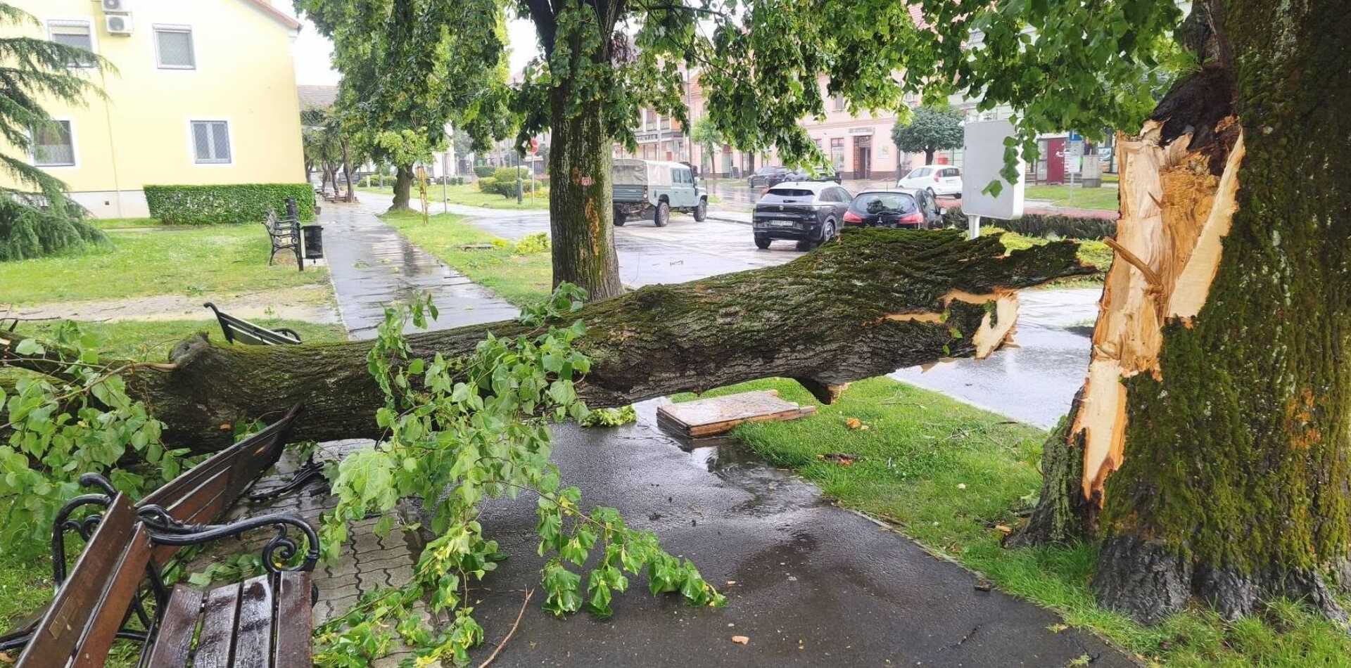 Faágat tört le a vihar Szentgotthárdon