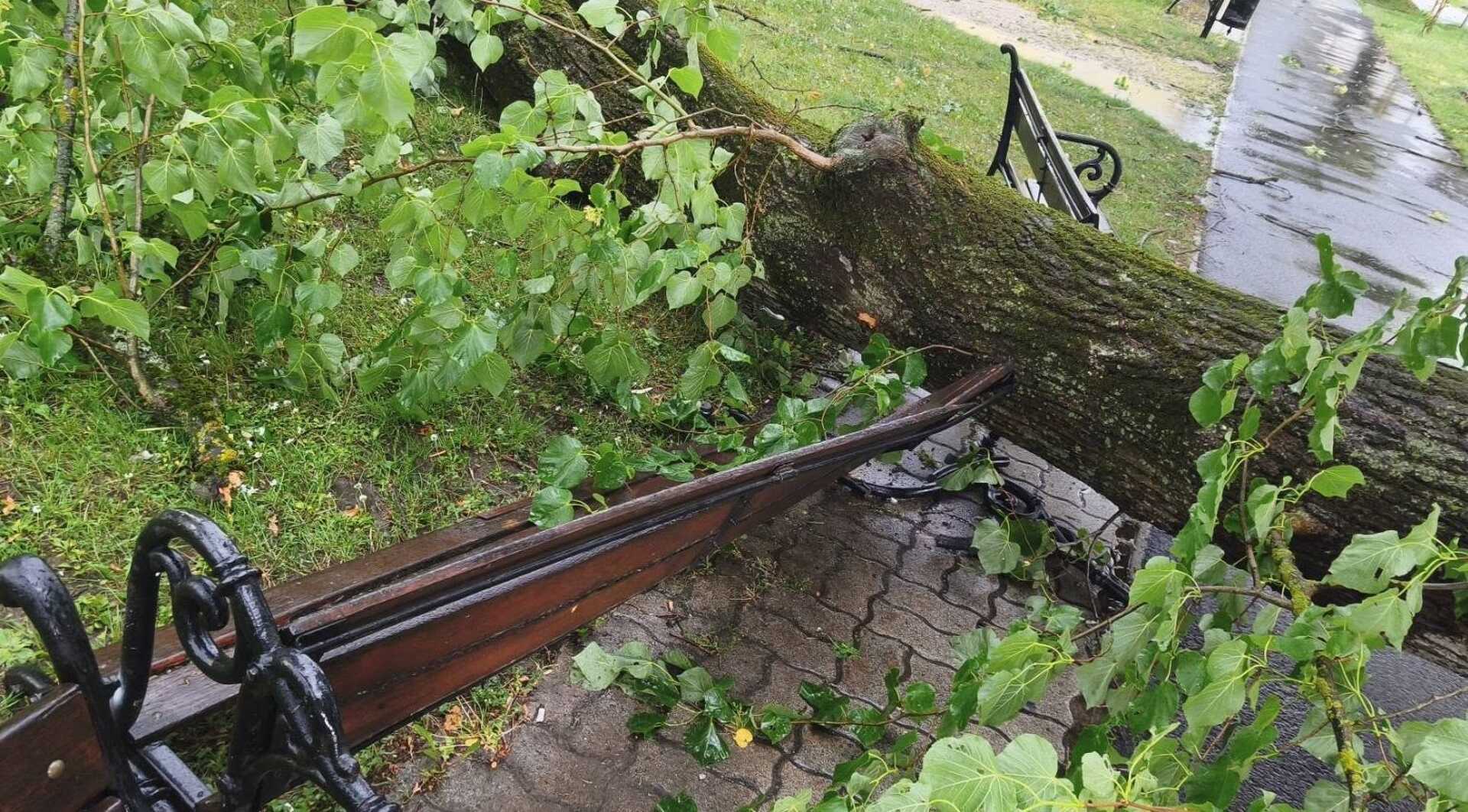 Faágat tört le a vihar Szentgotthárdon