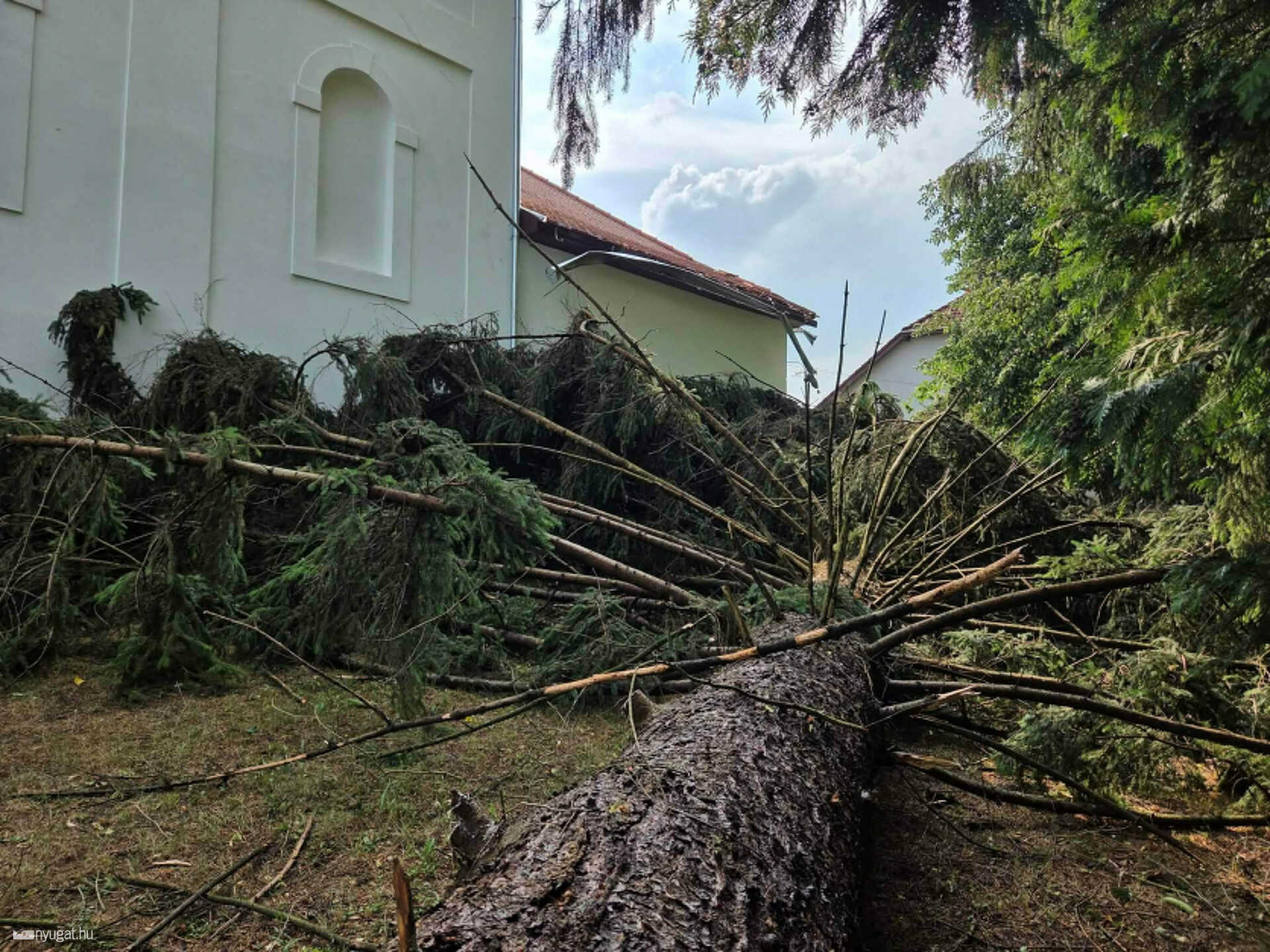Őriszentpéteren, a Városszeren a templomra borult egy nagy fa