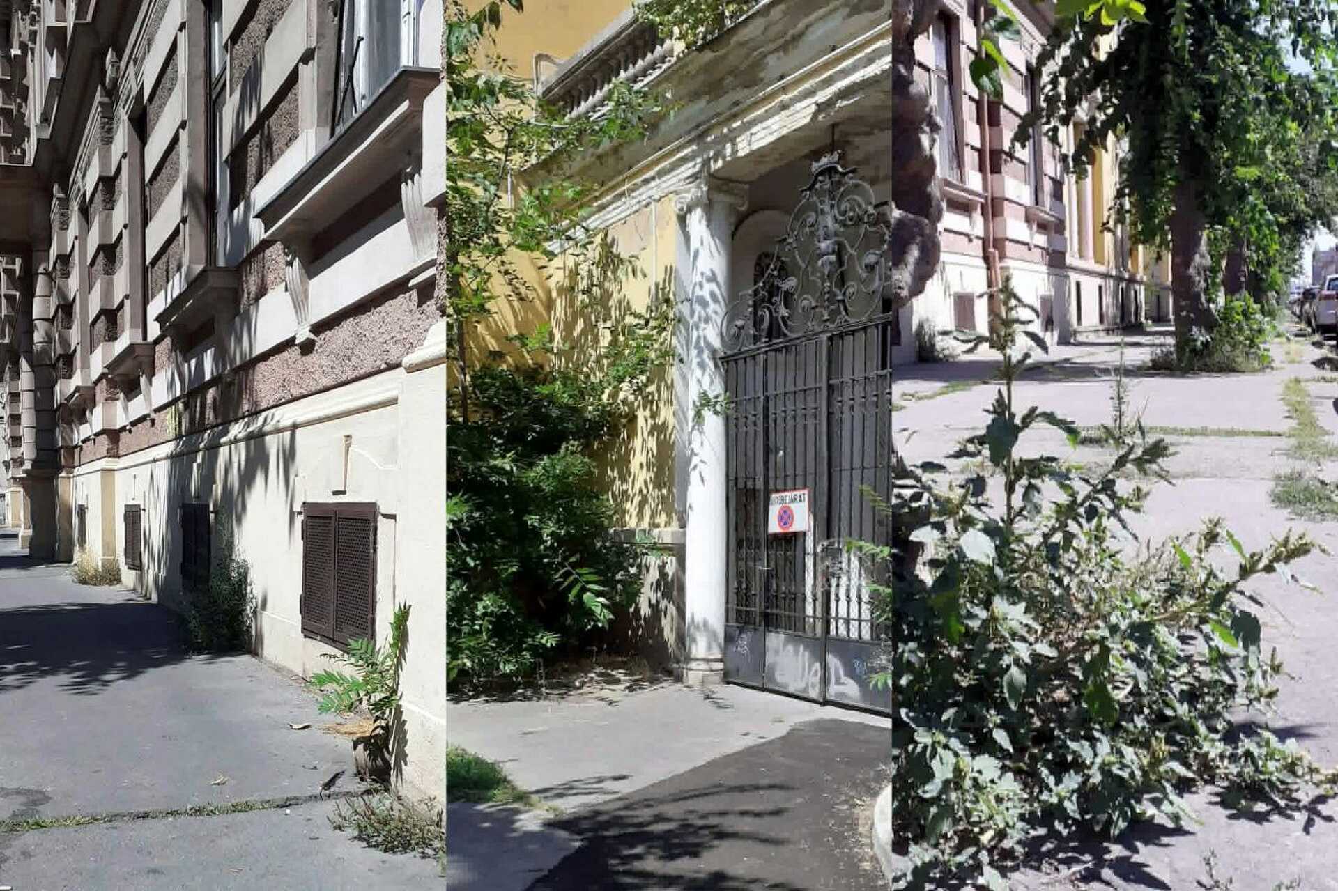 Gazos, rendezetlen életképek a szombathelyi Széll Kálmán utcából