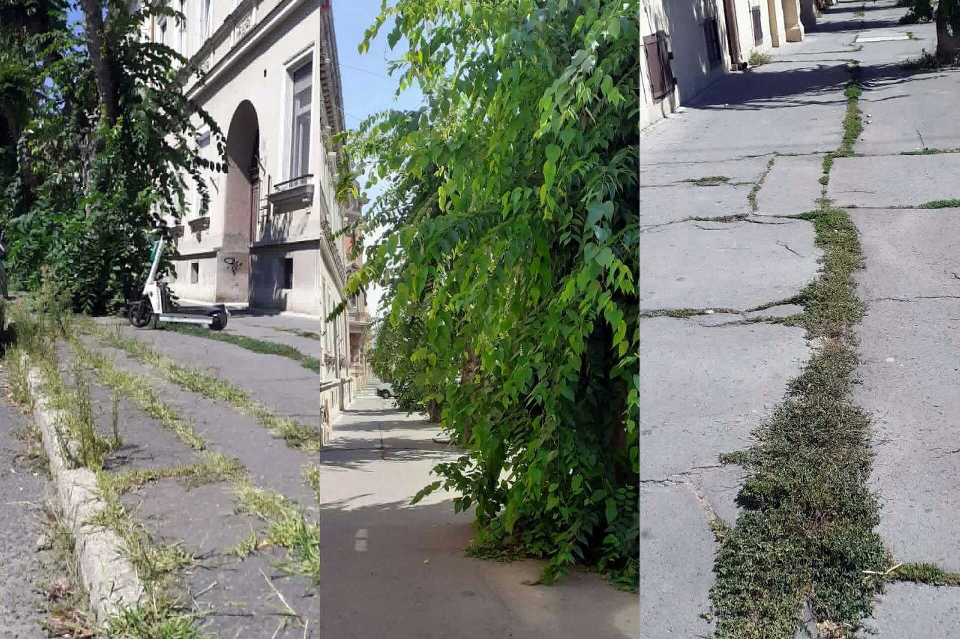 Gazos, rendezetlen életképek a szombathelyi Széll Kálmán utcából