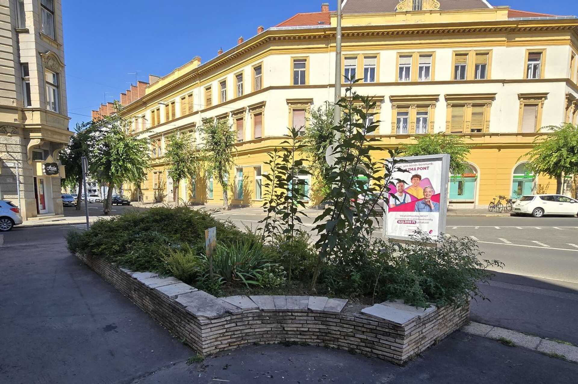 Valaki kigyomlálta Szombathely egyik zöld oázisát